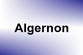 Algernon name image