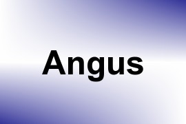 Angus name image