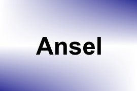 Ansel name image