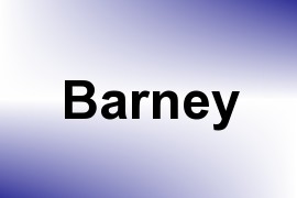 Barney name image