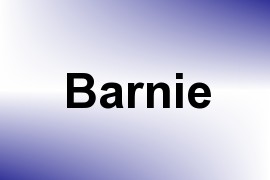 Barnie name image