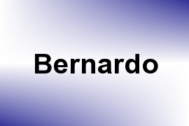 Bernardo name image