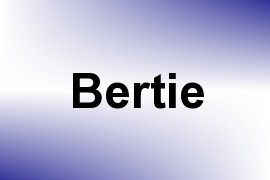 Bertie name image