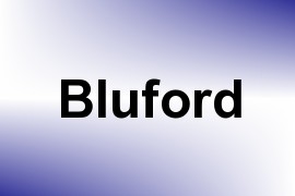 Bluford name image