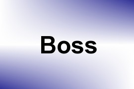 Boss name image