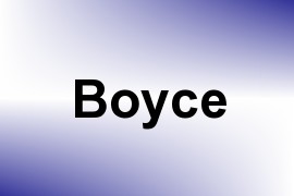 Boyce name image