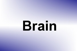 Brain name image