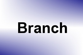 Branch name image