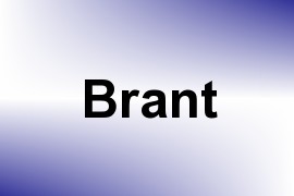 Brant name image