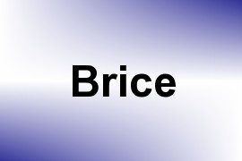 Brice name image