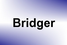 Bridger name image