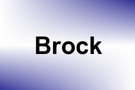 Brock name image