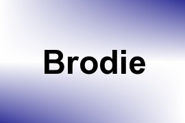 Brodie name image