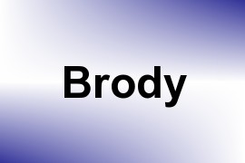 Brody name image