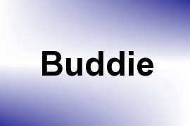 Buddie name image