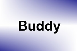 Buddy name image