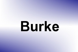 Burke name image