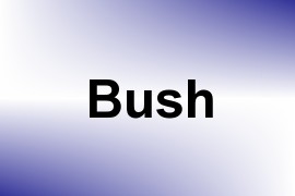 Bush name image