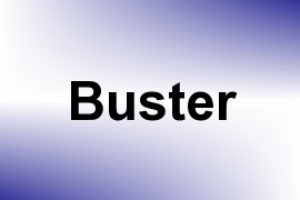 Buster name image