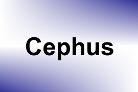 Cephus name image