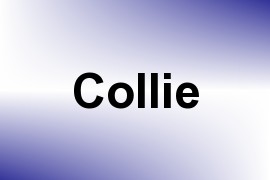 Collie name image
