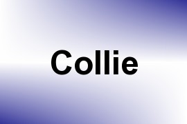 Collie name image