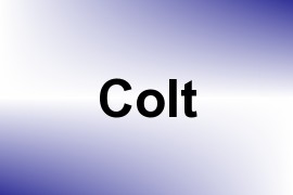 Colt name image