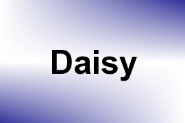 Daisy name image