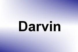 Darvin name image