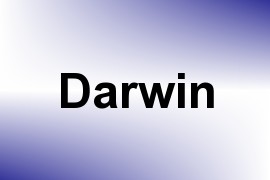 Darwin name image
