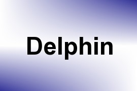 Delphin name image