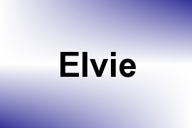 Elvie name image