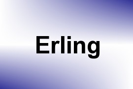 Erling name image