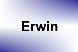 Erwin name image