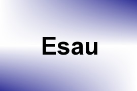 Esau name image