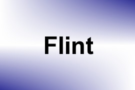 Flint name image