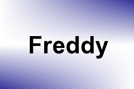 Freddy name image