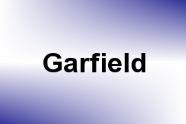 Garfield name image