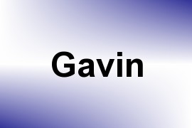 Gavin name image