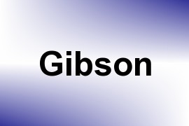 Gibson name image