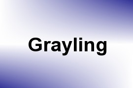 Grayling name image