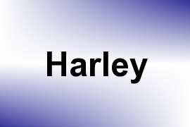 Harley name image