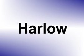 Harlow name image