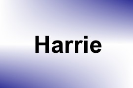 Harrie name image