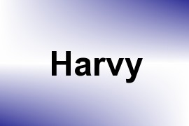 Harvy name image
