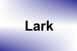 Lark name image