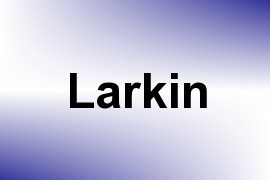 Larkin name image