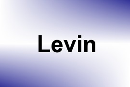 Levin name image