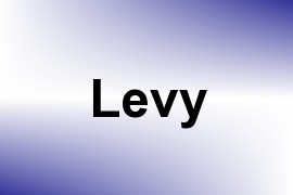 Levy name image