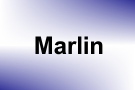 Marlin name image